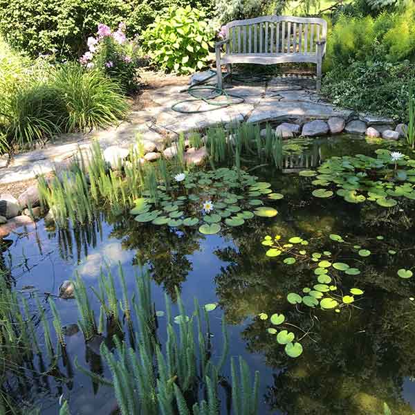 backyard water feature