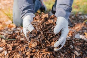 mulching