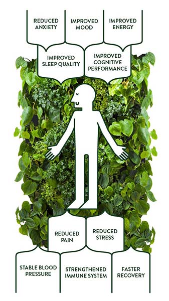 biophilic chart